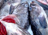 海水鱼为什么比淡水鱼好吃，哪种鱼的营养更丰富
