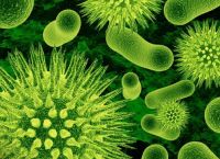 为什么有些细菌是有益的，细菌有益的在哪些方面