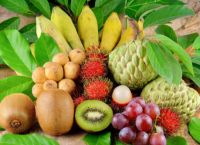 为什么热带盛产水果？热带盛产水果的原因是什么？